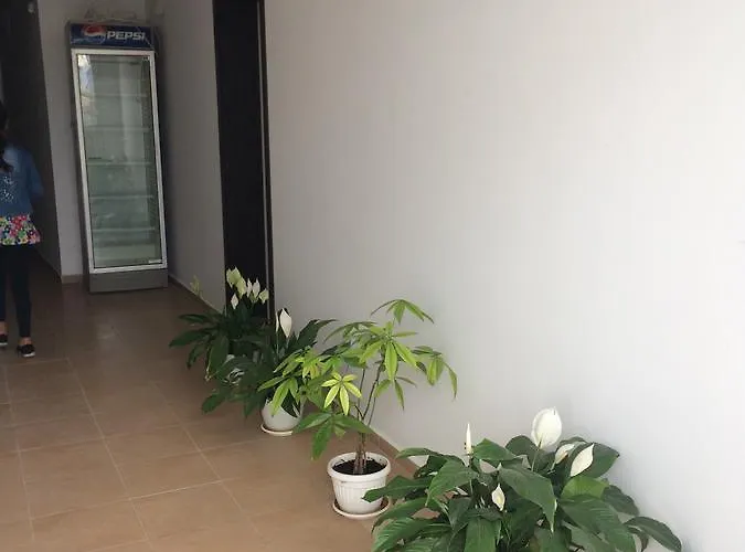 Pensionat Kolev 2 3*